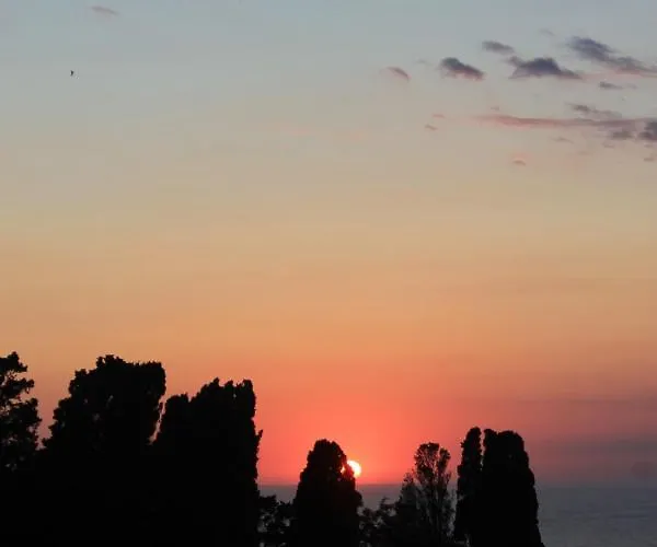 La Dimora Degli Angeli 特罗佩阿